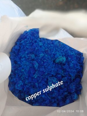 WhatsApp Image 2025-11-28 at 13.16.44